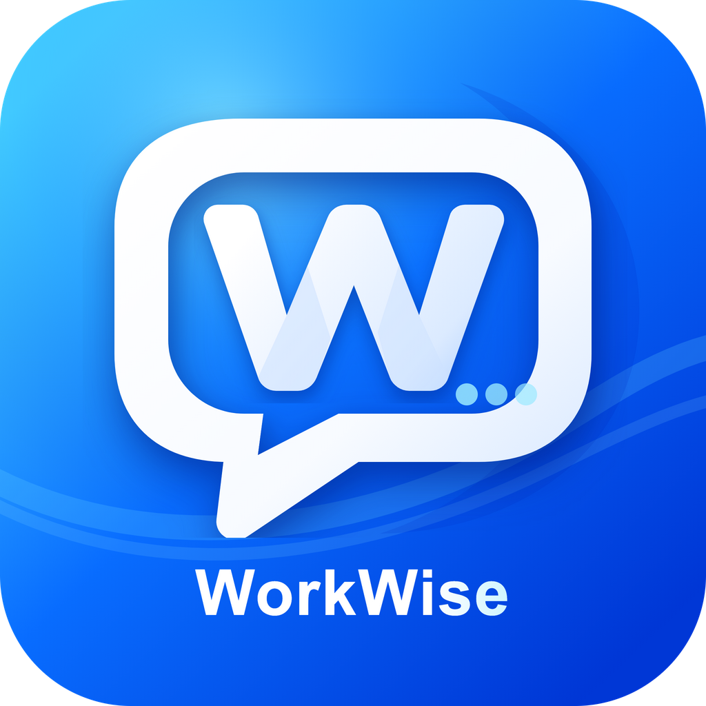 WorkWise 下载、安装与更新说明